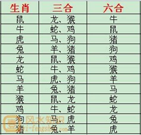 兔龍相害|最全12生肖三合、六合、相衝、相害詳細講。